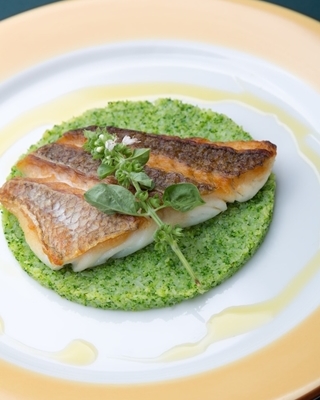 ブロッコリーソースに乗った真鯛のロースト